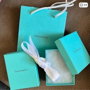 Tiffany & Co. Turquoise Box and Bag Set